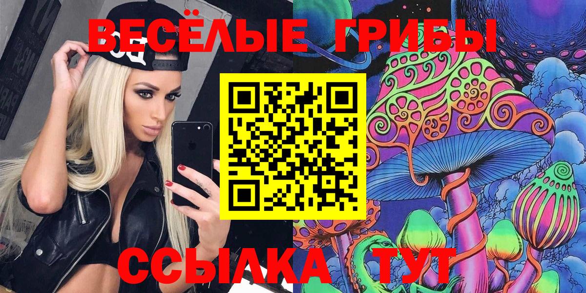 Галлюциногенные грибы мицелий  Псилоцибиновые грибы прущие грибы  Вход с VPN  Димитровград 